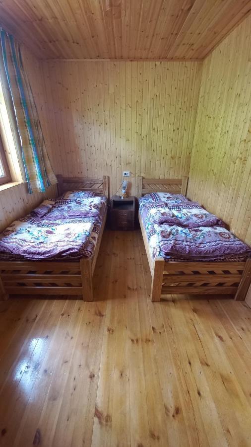 Guest House Elisabeth Adishi Εξωτερικό φωτογραφία