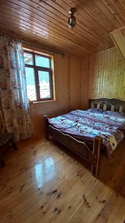Guest House Elisabeth Adishi Εξωτερικό φωτογραφία