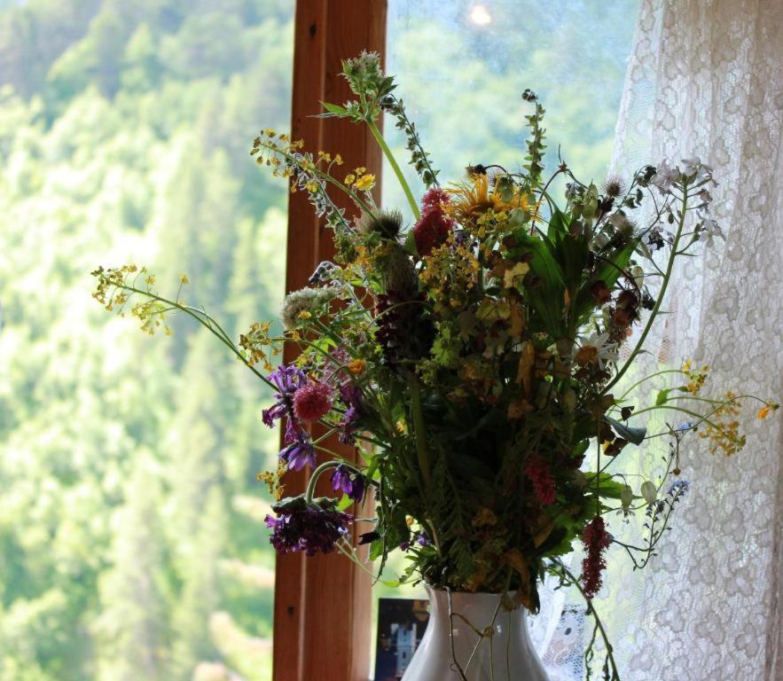 Guest House Elisabeth Adishi Εξωτερικό φωτογραφία