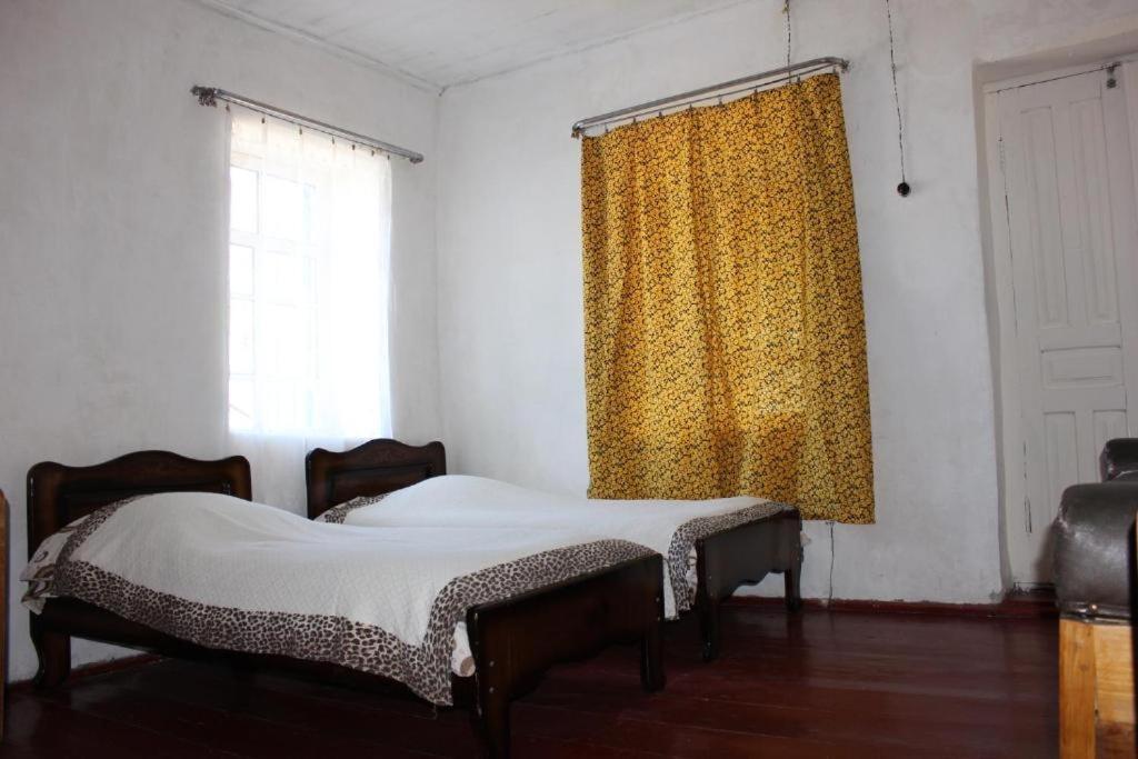 Guest House Elisabeth Adishi Εξωτερικό φωτογραφία